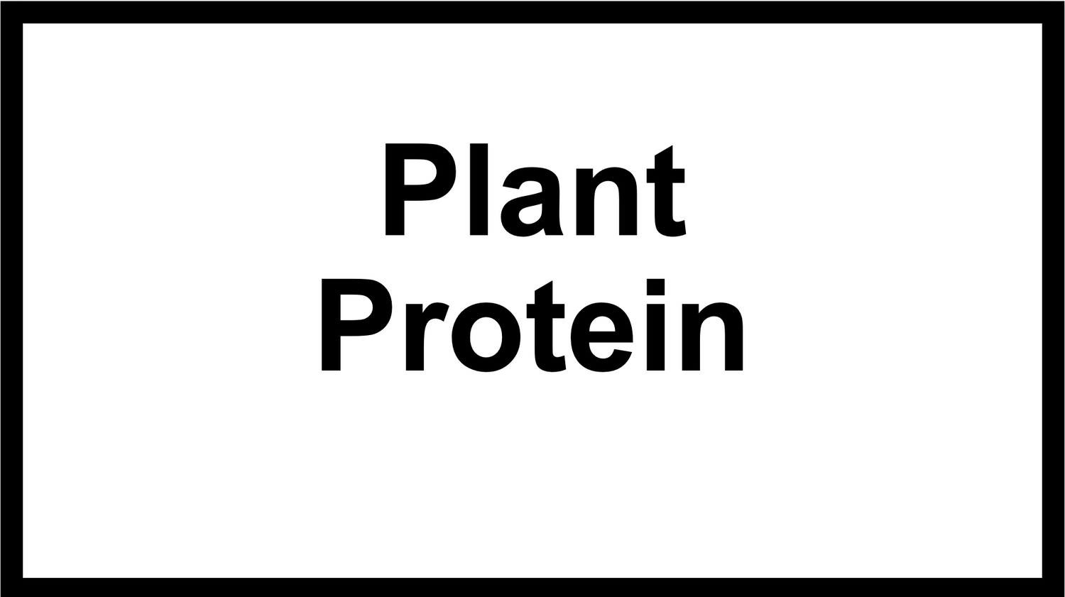 Plant Protein